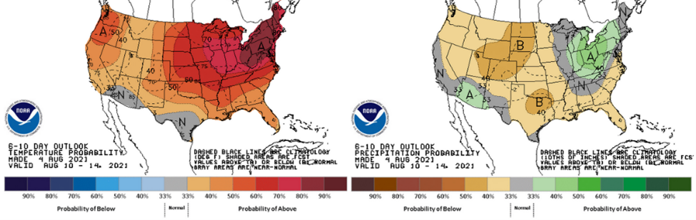 The 6-10 day outlook 